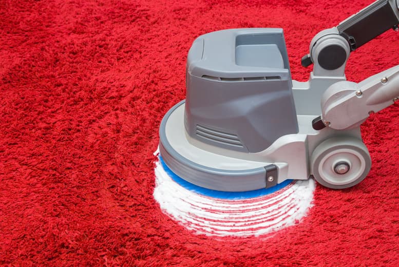 Professional Carpet Cleaning Service - Stairs, Landing & 1 Bedroom - Deep Clean, Dublin