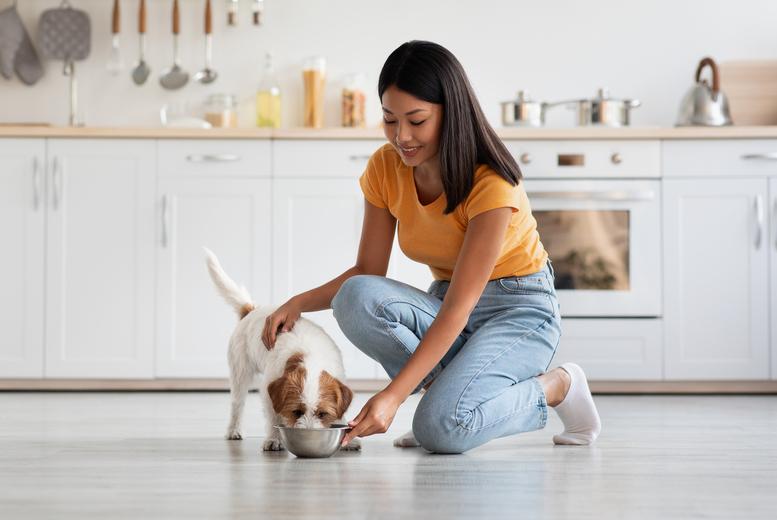 Comprehensive Online Pet Nutrition Course - Lifetime Access & Certification