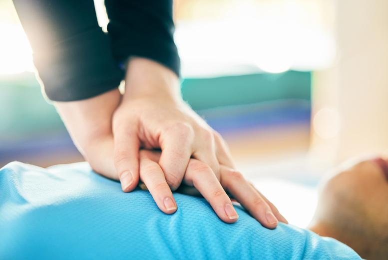 Online Pet First Aid & Cpr Course - Holly And Hugo