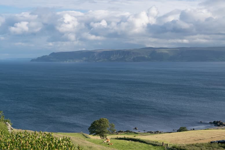 Giant'S Causeway & Game Of Thrones Full-Day Bus Tour - For One Or Two - Belfast Departure