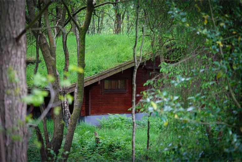 Woodland Escape With Spa, Dinner, And Prosecco - Yorkshire