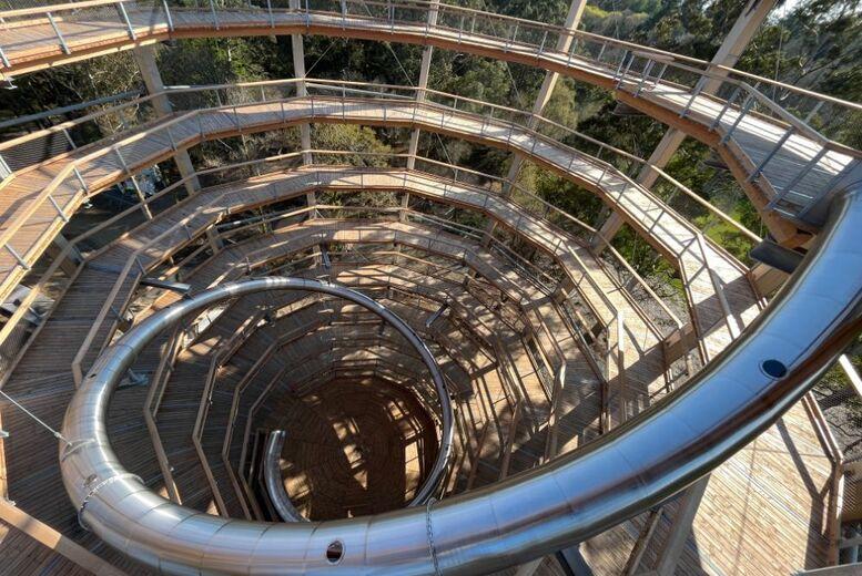 Alice In Woodland Easter Live Show & Treetop Adventure - 4-6 April