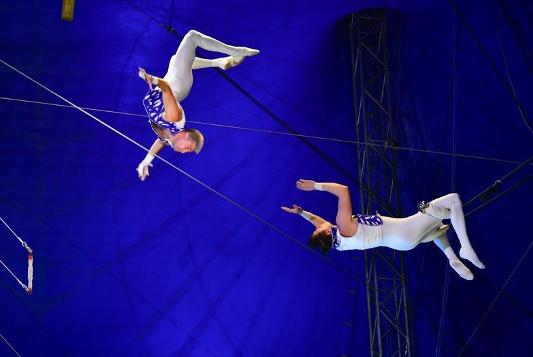 Circus Gerbola Entry Ticket | Wicklow, June 25Th - 28Th