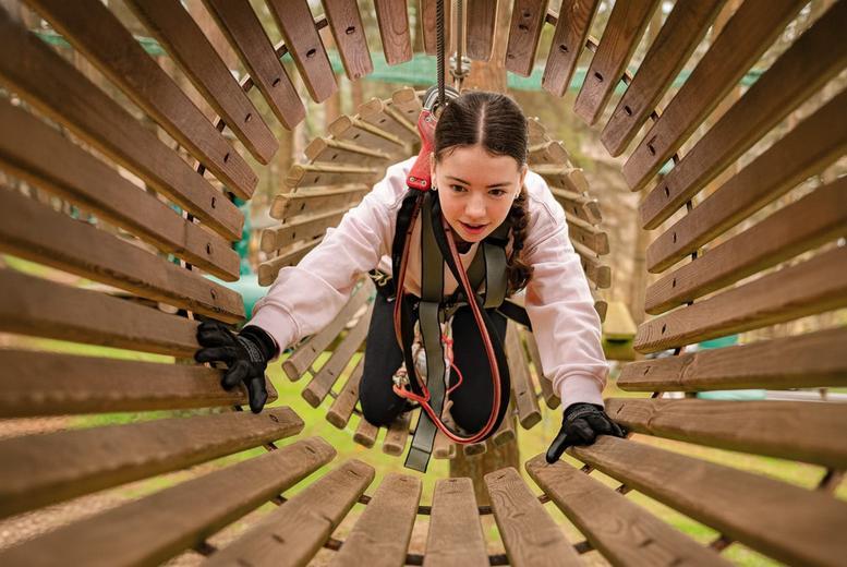 Zipit Djouce Park - High & Junior Ropes Course - Ages 3+ & Adults, Wicklow