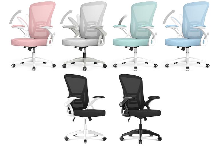 Ergonomic Desk Chair With Lumbar Support And Flip-Up Arms